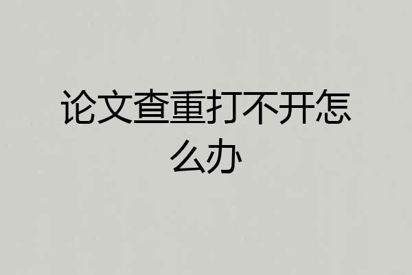 论文查重打不开怎么办