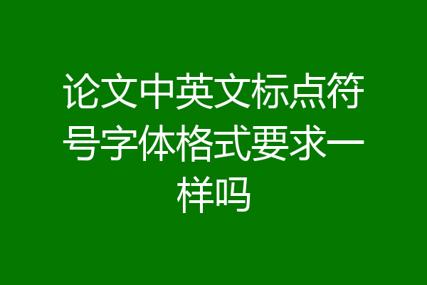 论文中英文标点符号字体格式要求一样吗