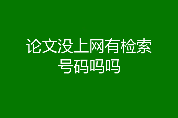 论文没上网有检索号码吗吗