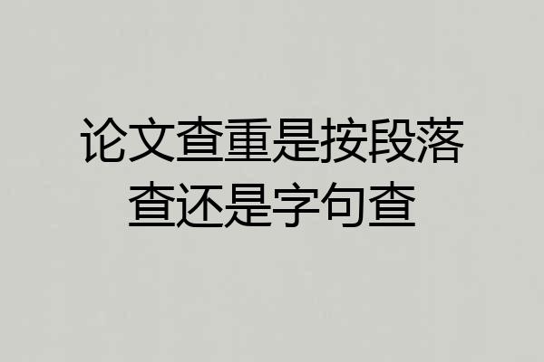论文查重是按段落查还是字句查