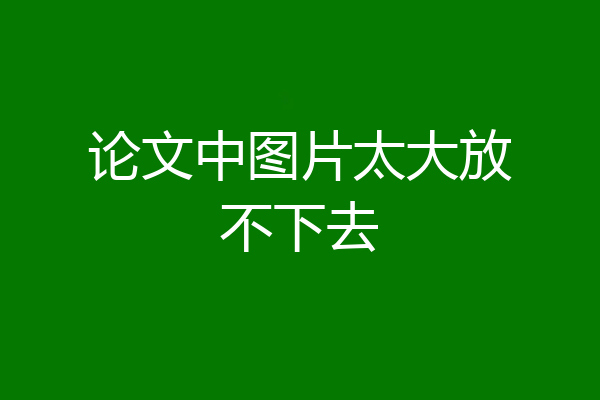 论文中图片太大放不下去