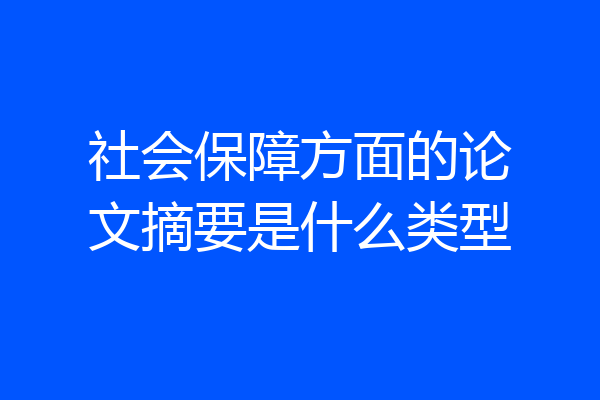 社会保障方面的论文摘要是什么类型