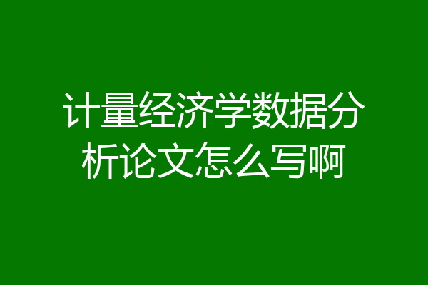 计量经济学数据分析论文怎么写啊