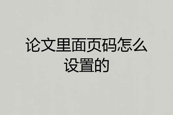 论文里面页码怎么设置的