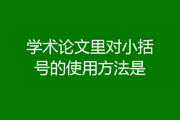 学术论文里对小括号的使用方法是