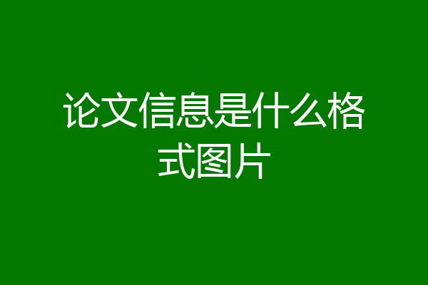 论文信息是什么格式图片