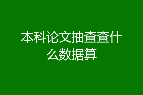 本科论文抽查查什么数据算
