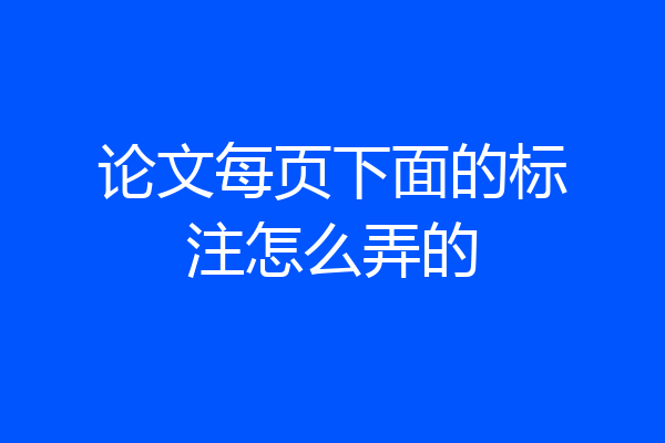 论文每页下面的标注怎么弄的