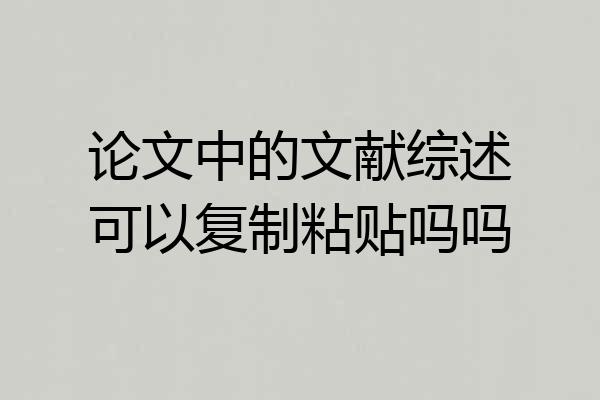 论文中的文献综述可以复制粘贴吗吗