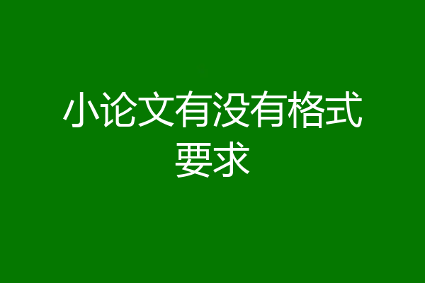 小论文有没有格式要求