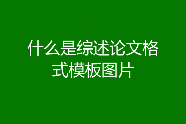 什么是综述论文格式模板图片