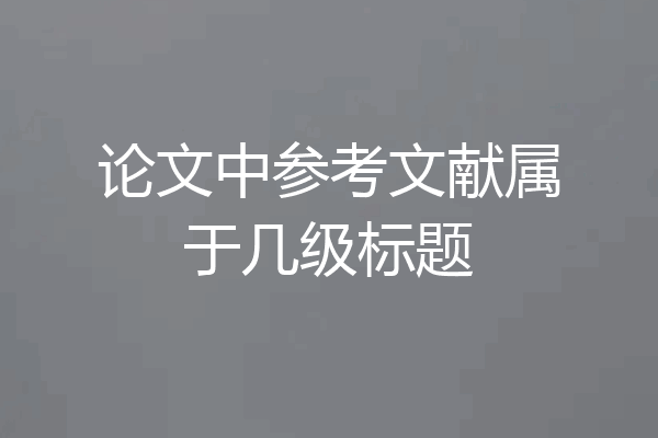 论文中参考文献属于几级标题