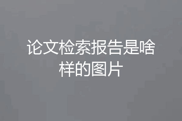 论文检索报告是啥样的图片