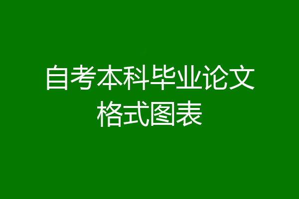 自考本科毕业论文格式图表