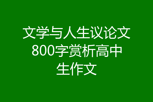 文学与人生议论文800字赏析高中生作文