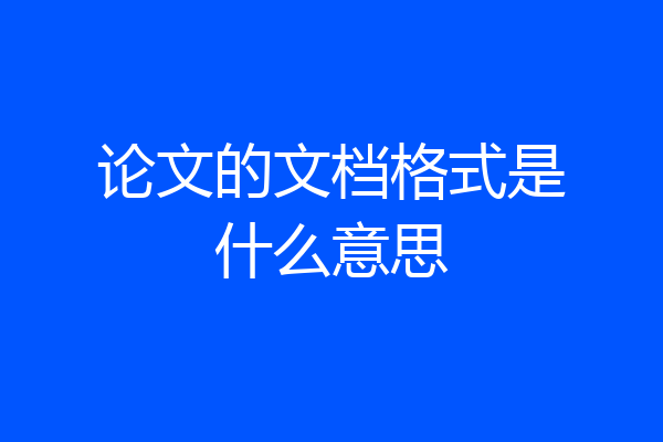 论文的文档格式是什么意思