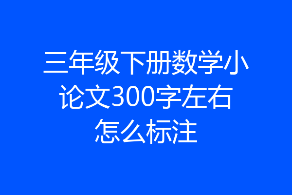 三年级下册数学小论文300字左右怎么标注