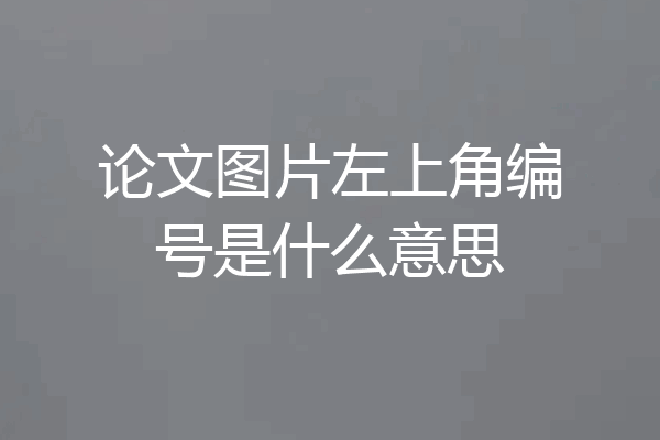 论文图片左上角编号是什么意思