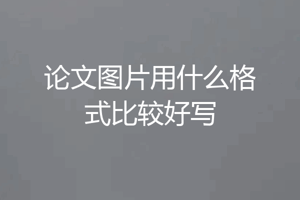 论文图片用什么格式比较好写