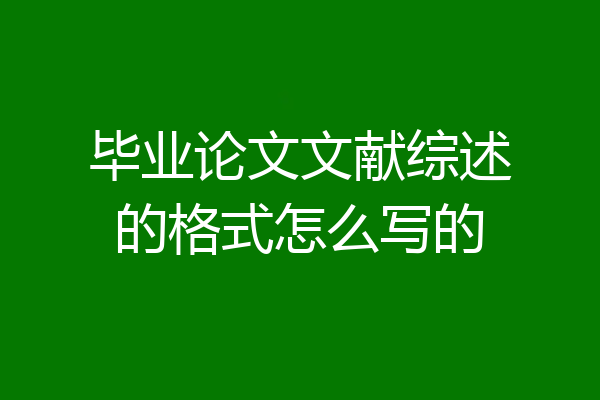 毕业论文文献综述的格式怎么写的