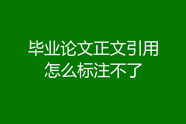 毕业论文正文引用怎么标注不了