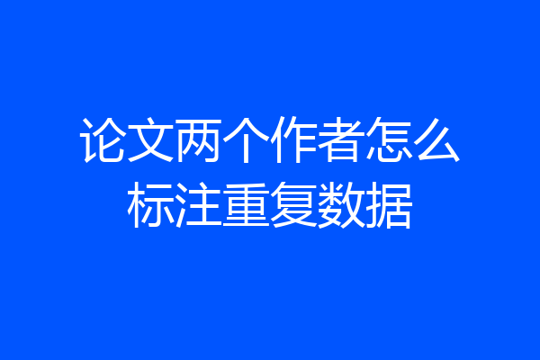 论文两个作者怎么标注重复数据
