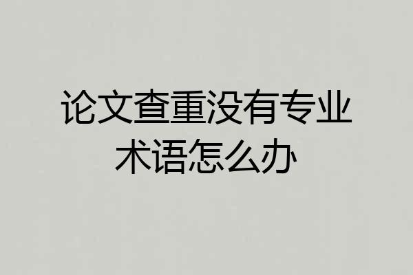 论文查重没有专业术语怎么办