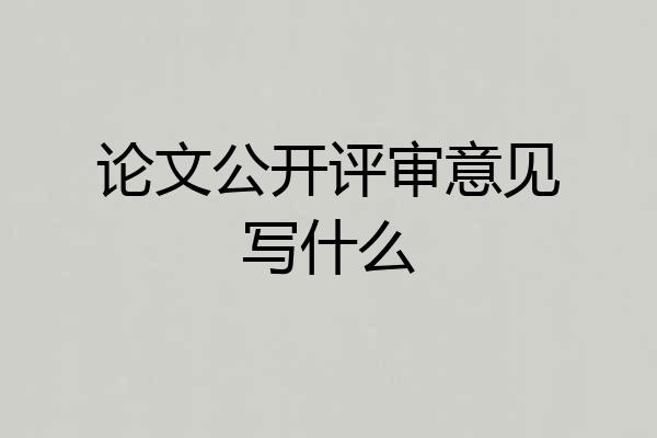 论文公开评审意见写什么