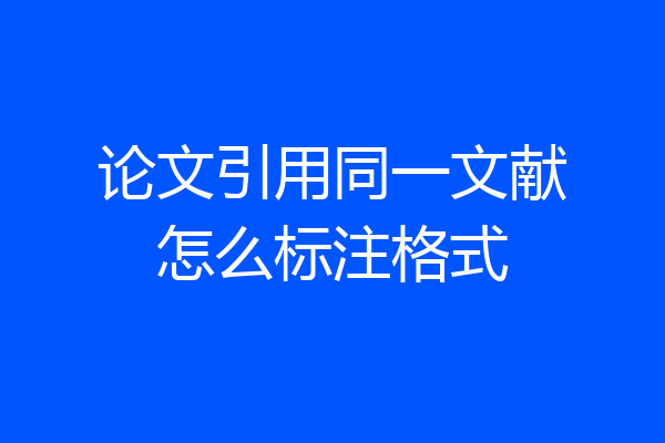 论文引用同一文献怎么标注格式
