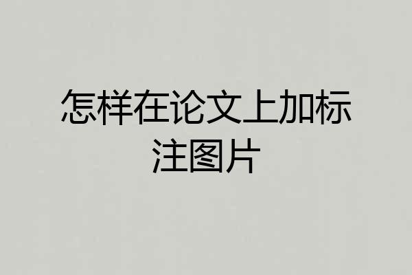 怎样在论文上加标注图片