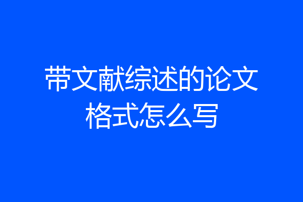 带文献综述的论文格式怎么写