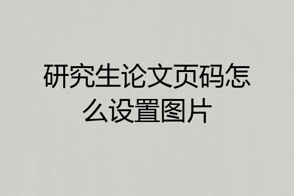 研究生论文页码怎么设置图片