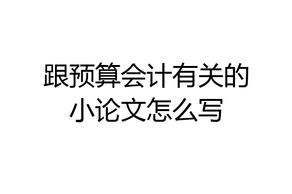 跟预算会计有关的小论文怎么写