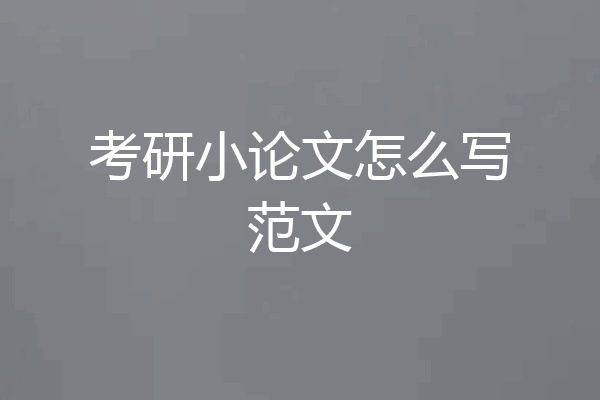 考研小论文怎么写范文
