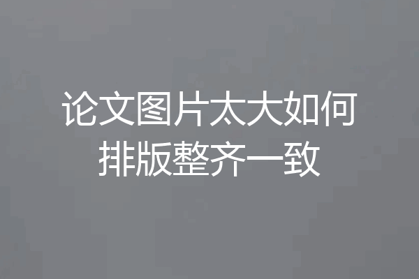 论文图片太大如何排版整齐一致