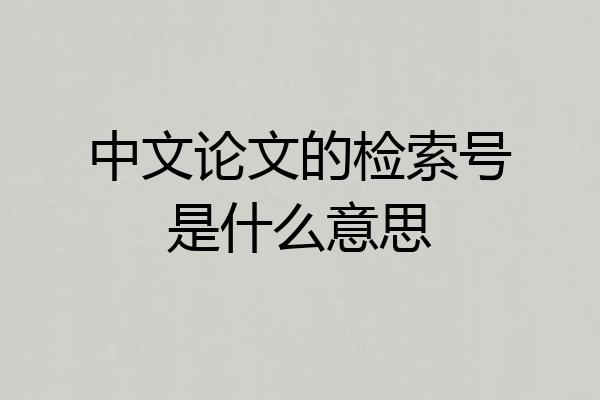 中文论文的检索号是什么意思