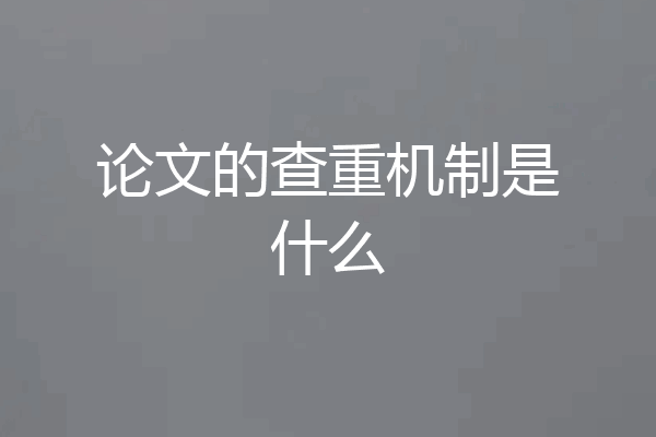 论文的查重机制是什么