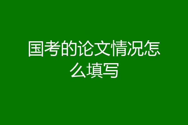国考的论文情况怎么填写
