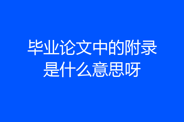 毕业论文中的附录是什么意思呀