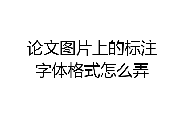 论文图片上的标注字体格式怎么弄