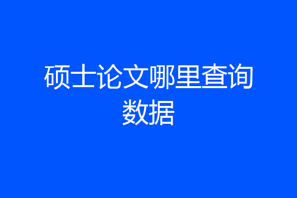 硕士论文哪里查询数据