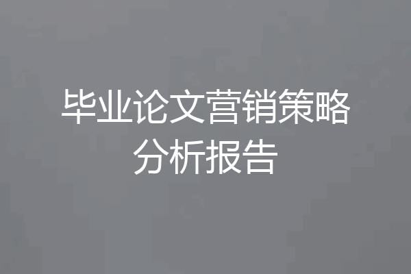 毕业论文营销策略分析报告