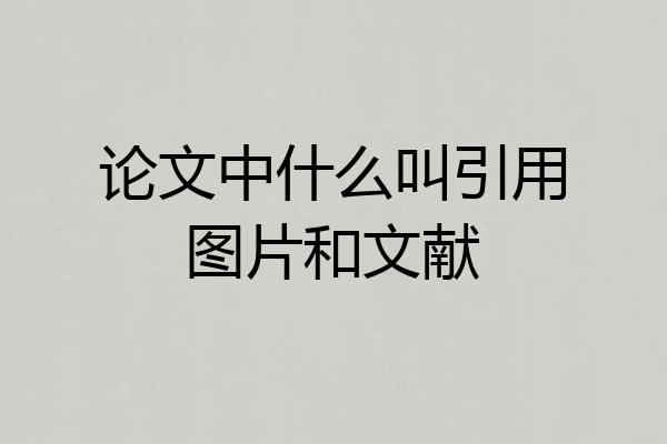论文中什么叫引用图片和文献
