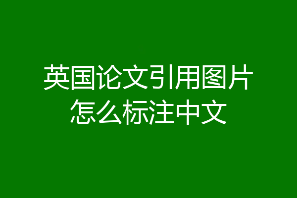 英国论文引用图片怎么标注中文