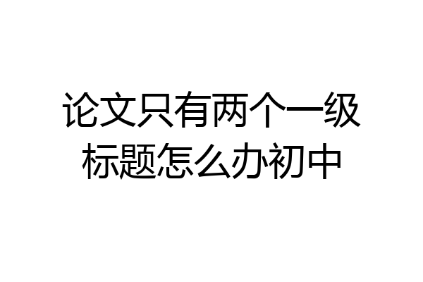 论文只有两个一级标题怎么办初中
