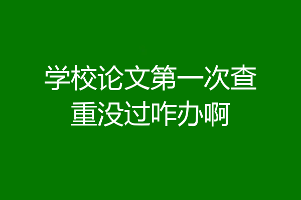 学校论文第一次查重没过咋办啊