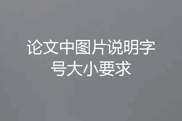 论文中图片说明字号大小要求