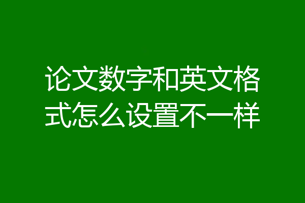 论文数字和英文格式怎么设置不一样