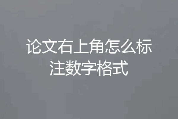 论文右上角怎么标注数字格式