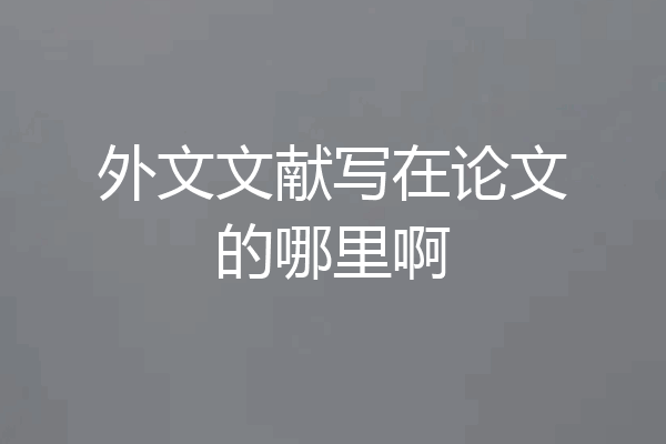 外文文献写在论文的哪里啊